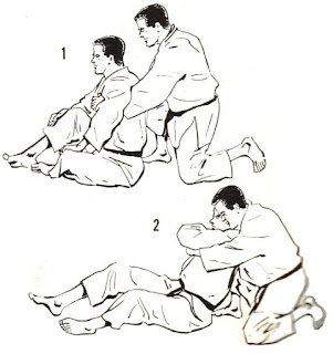 one of the immobilisation kata
