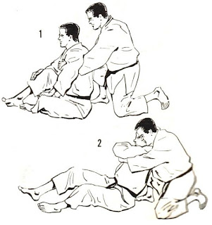 one of the immobilisation kata
