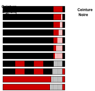 L'ordine delle cinture JJB