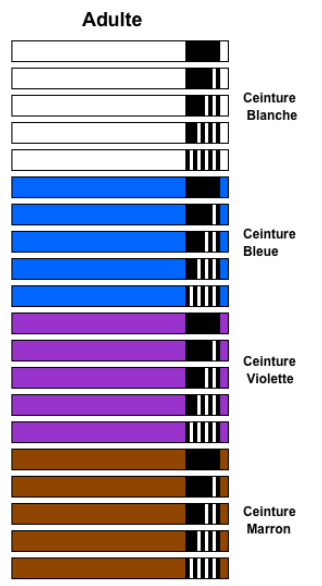 L'ordre des ceintures de JJB